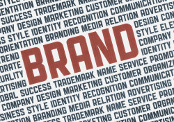 What Goes into a Brand?