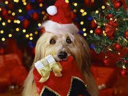 The Holidays